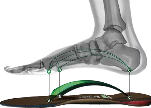 Lab Time Orthodic Modifications $150 an Hour